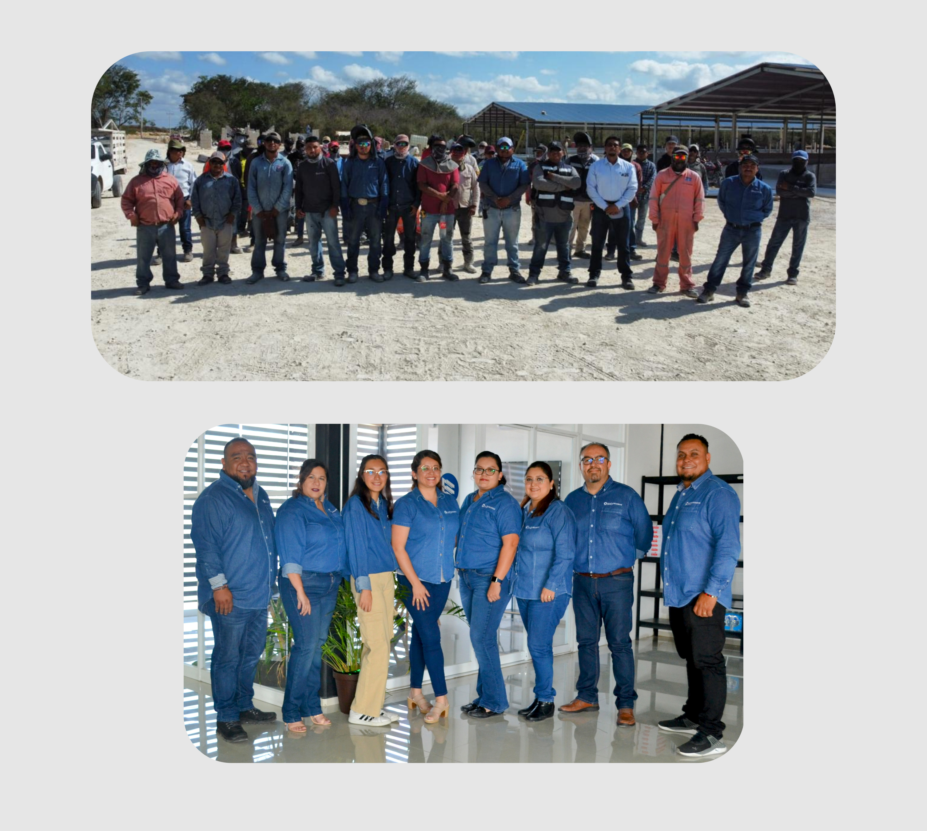 Equipo de Oiko Técnica